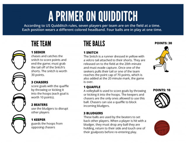 Infographic explaining the positions and objectives of a quidditch game.